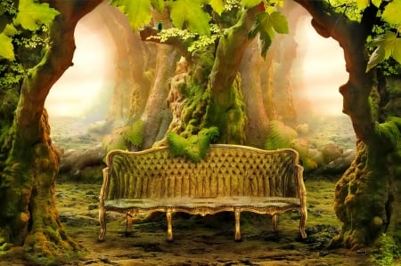 Sofa in the forest - trees, fantasy, sofa, magic, beautiful, forest, enchanted, rest