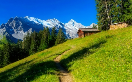 Wengen summer - cottage, hut, sky, slope, trees, greenery, path, rocks, vacation, house, grass, mountain, travel, wooden, summer, wengen, beautiful, rest, cabin, switzerland