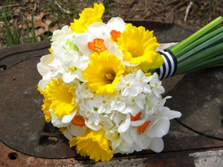 Daffodil Bouquet - yellow, daffidils, flowers, time, spring