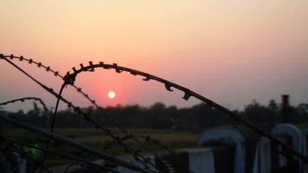 Sunset on the horizon - nature, sky, sunset, outdoors