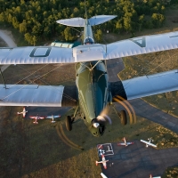 dh83 fox moth