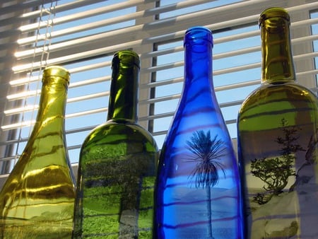 Nature in a bottle - nature, photography, window, glass, bottles