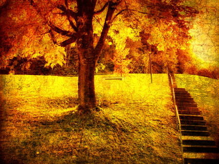 Autumn Symphony - symphony, stairs, autumn