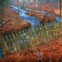 Old Fence in Late Autumn