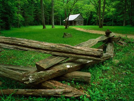 Cabin - forest, cabin, wood