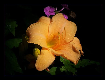 Yellow flower - flowers, yellow