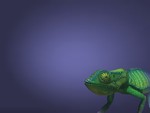 Chameleon