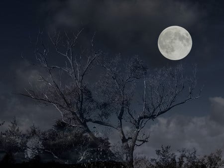 Moon - moon, nature