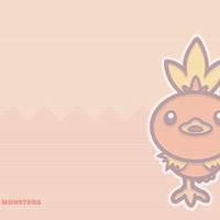 Torchic