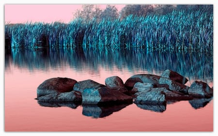 Red-blue - lake, 3d