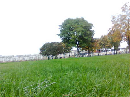 nature - green, park