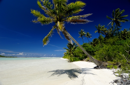 White Sand Beach, Tahiti - sky, palms, sea, landscape