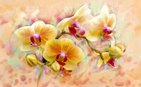 Orchids art - orchids, background, delicate, lovely, art, pretty, yellow, floral, beautiful, flowers