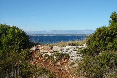 By the sea - rock, croatia, beautiful, wall, seaside, ocean, blue, afternoon, plants, bush, trees, sea, green