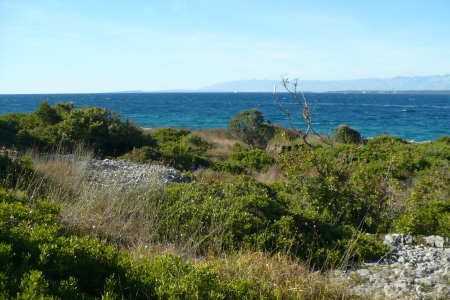 sea side - coast, blue, beach, landscape, island, grass, shore, trees, water, beautiful, sea side, sea, ocean, stones, tree, bush, green, mountains, rocks