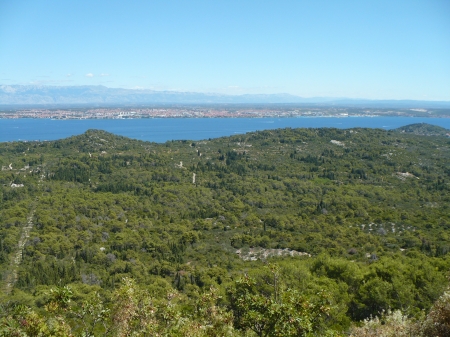 sea - coast, blue, gardens, beach, landscape, island, seaside, forest, mountain, shore, view, Croatia, land, trees, beautiful, sea, ocean, green