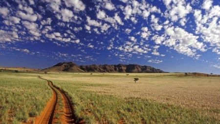 single road - fun, nature, single road, field, cool