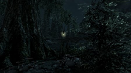 Skyrim Night Impression 5 - mushrooms, computer game, mushroom, trees, screenshot, video game, water, darkness, skyrim, dark, console game, game, river, torchbug, tree, bridge, console, elder scrolls, tamriel, riverwood, nightsky, night, the elder scrolls v, the elder scrolls, after dark, animal, insect