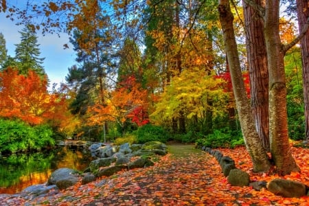 Colors of Fall - leaves, path, trees, river