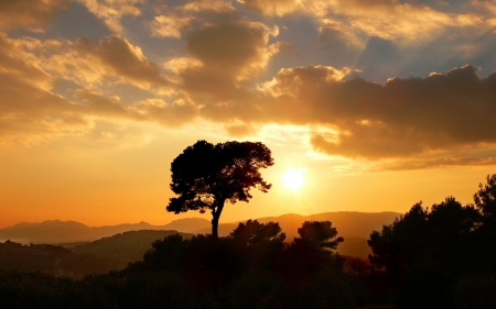 Dawn Forest - clouds, dawn, nature, sunrise, forest