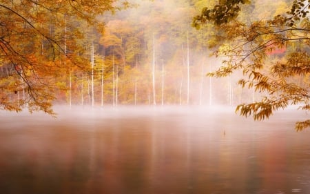 Beautiful Lake - lake, fall, trees, nature