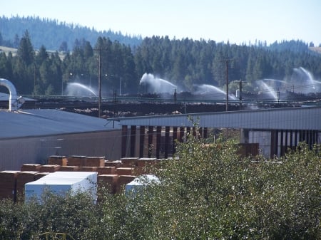 Sprinkler System on logs - Sawmills, Timber, Renewable Resources, Economy, Forests