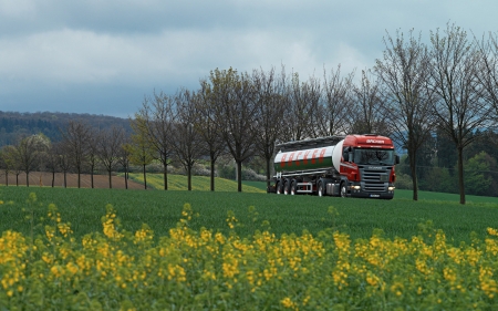 scania tanker - field, truck, tanker, scania