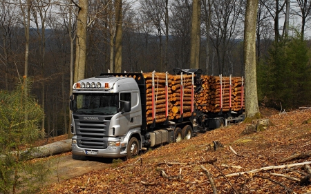 scania logging truck - truck, scania, logging, forest