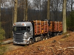 scania logging truck