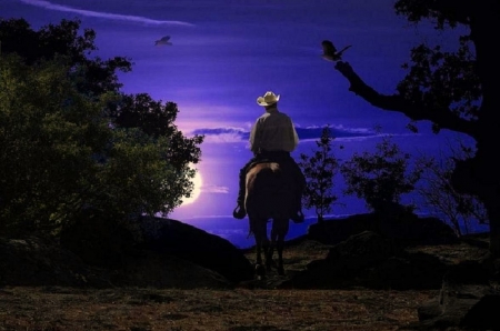 'Midnight ride'..... - horses, night, mountains, cowboys, sky