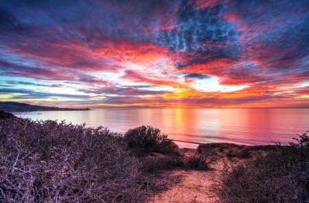 Torrey Pines Gliderport, La Jolla, California - clouds, beach, sea, colors, sky