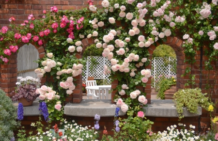 Rosewall - blossoms, summer, arcades, roses, wall