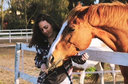 Loving Trust.. - women, fun, female, models, brunettes, western, fence, horse, girls, cowgirl, style, outdoors, ranch