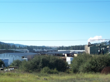 Sawmill in Operation - Building Materials, Sawmills, Forest Management, Lumber, Renewable Resources, Economy