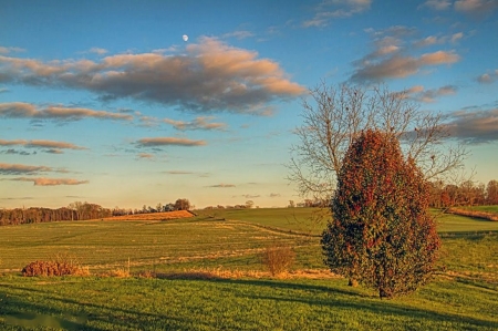 Autumn Fields - clouds, sunset, landscape, tree, sky