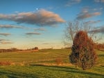 Autumn Fields