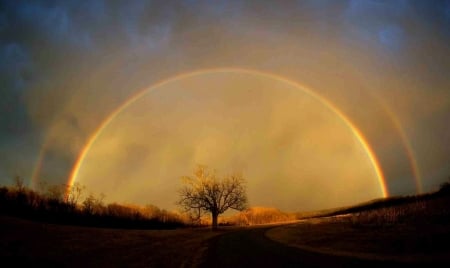 Perfect Rainbow Arc Over A Lone Tree - perfect arc, rainbow, tree, full arc