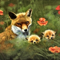 Fox Mother and Kits F