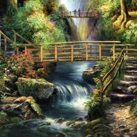 Forest Bridges F