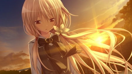 sunset - longhair, anime, girl, sunset