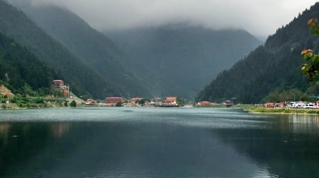 Amazing Lake - lake, tree, amazing, water