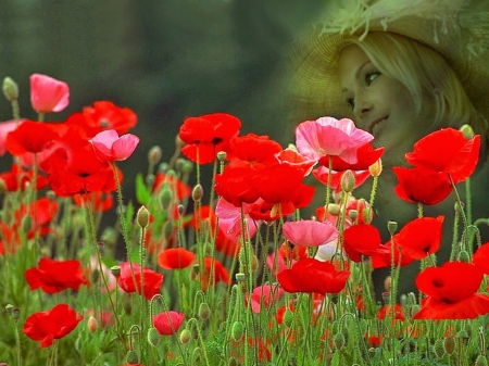 Poppies - woman, blossoms, red, petals, field, plants