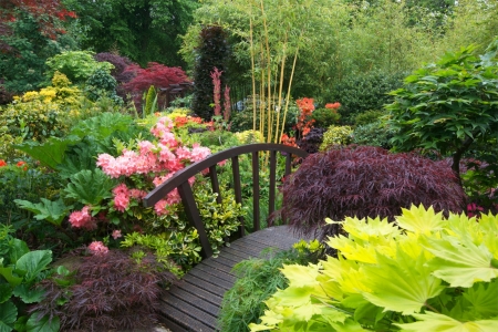 Summer Park - blossoms, colors, flowers, plants, bridge