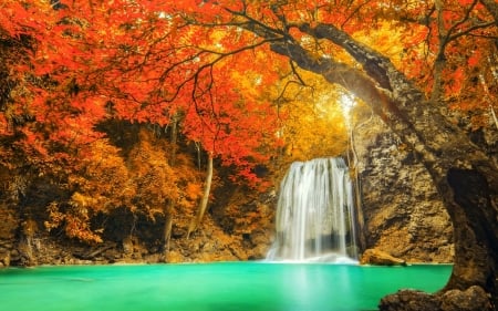 Waterfall in Thailand - fall, forest, leaves, colors, autumn