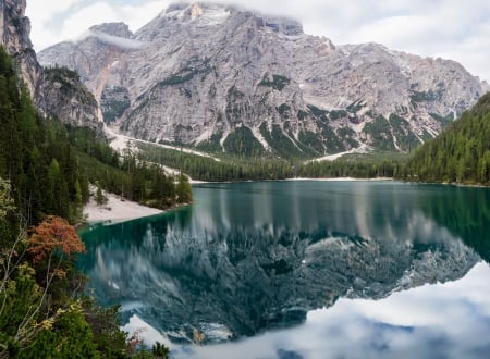 Reflection - mountains, lake, forest, snow