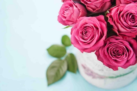 Roses in the vase - roses, flower, red, vase