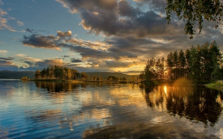 Sunset over the Lake - nature, lake, tree, sunset