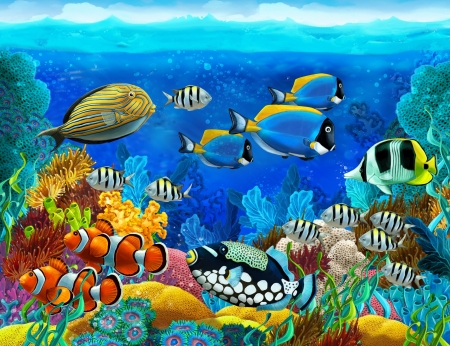 Fish - vara, yellow, blue, fish, summer, sea, clown, underwater