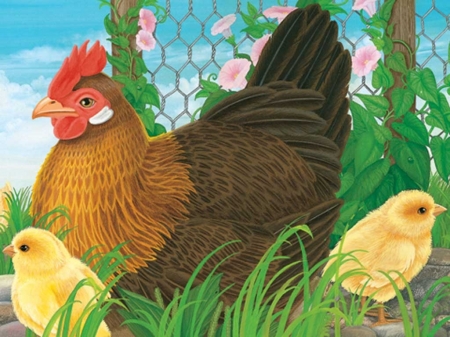 Mama and her Chicks - chicken, farm, animals, chicks, pen