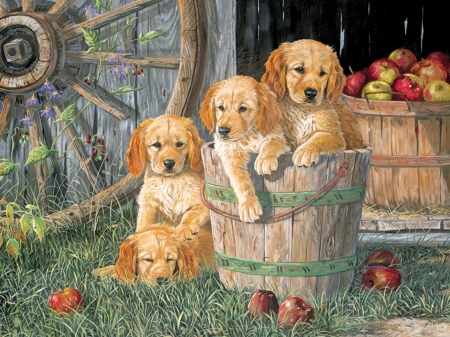 Puppy Pail - lab, yellow, puppies, pail, three